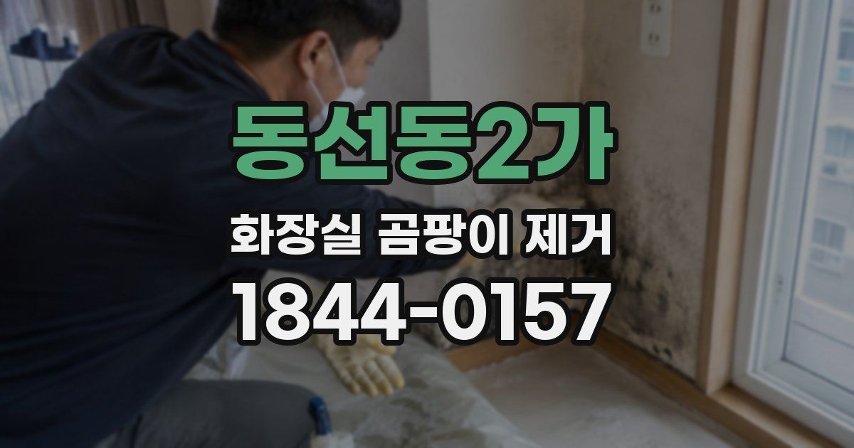 동선동2가 화장실 곰팡이 제거