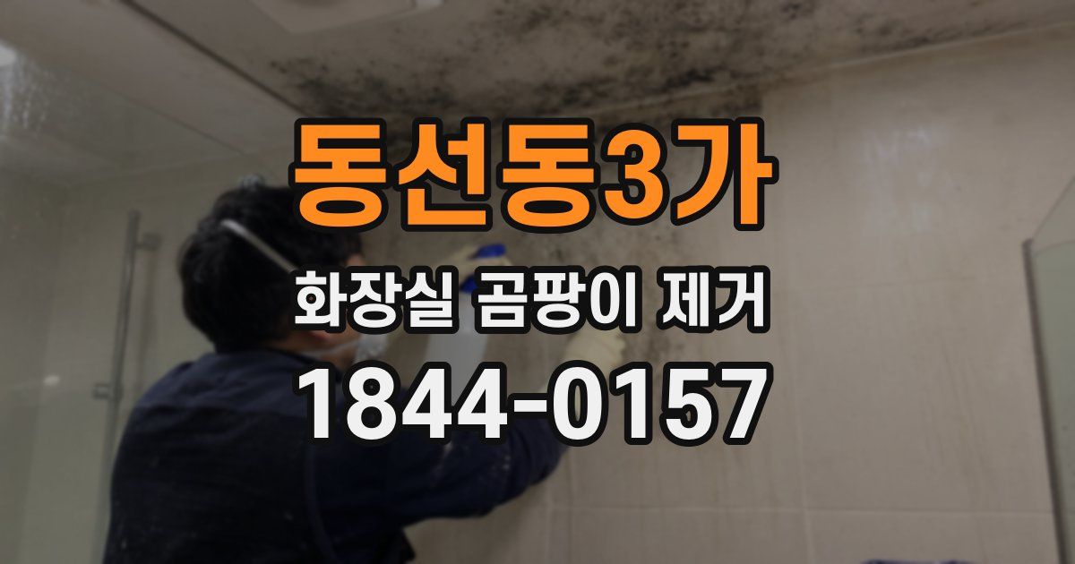 동선동3가 화장실 곰팡이 제거