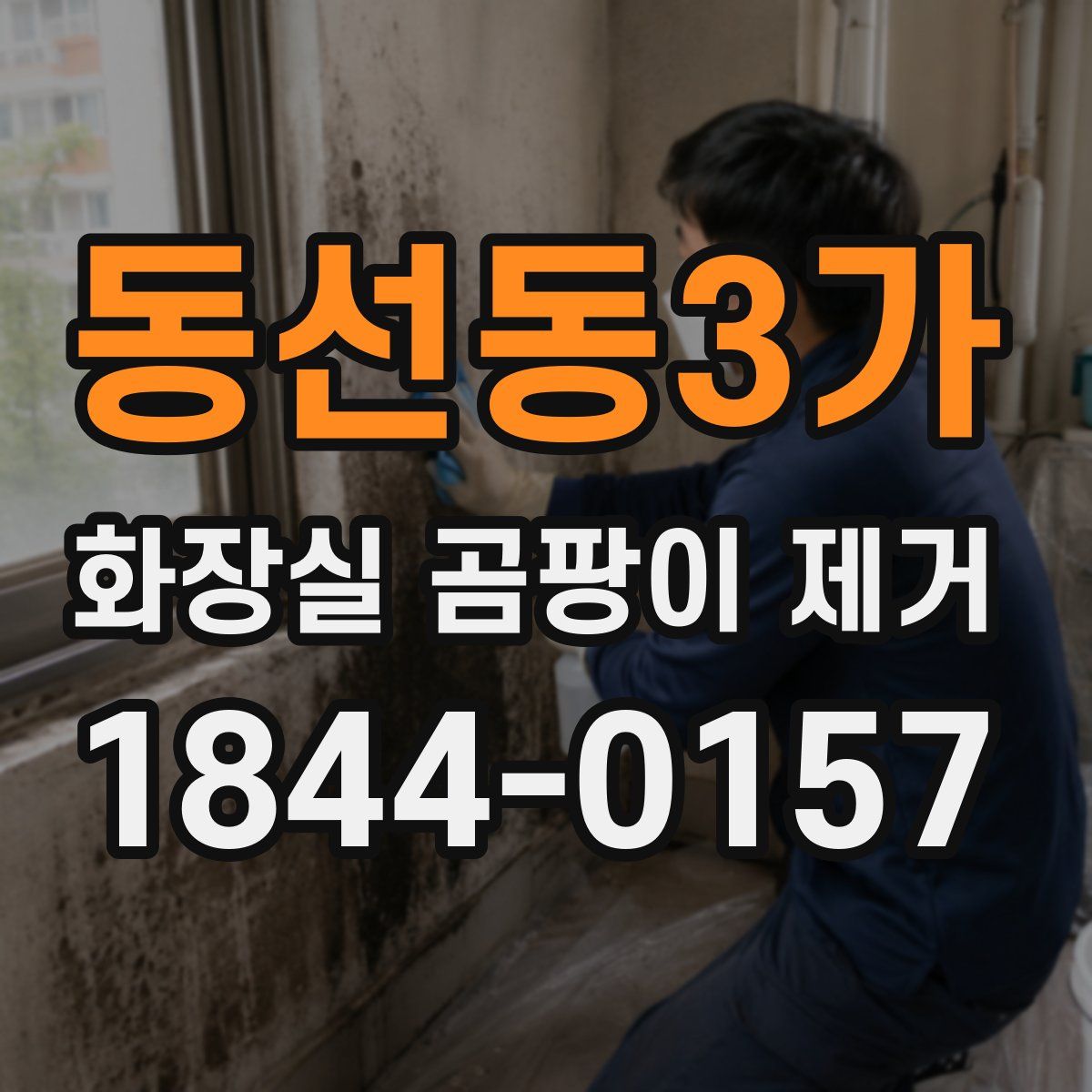 동선동3가 화장실 곰팡이 제거