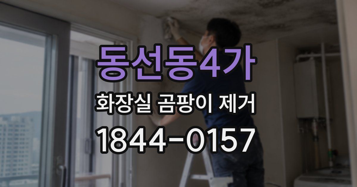 동선동4가 화장실 곰팡이 제거