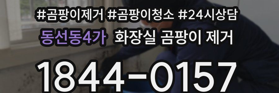 동선동4가 화장실 곰팡이 제거