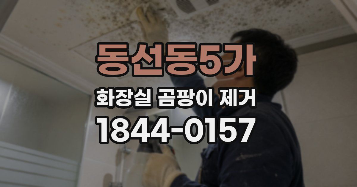 동선동5가 화장실 곰팡이 제거