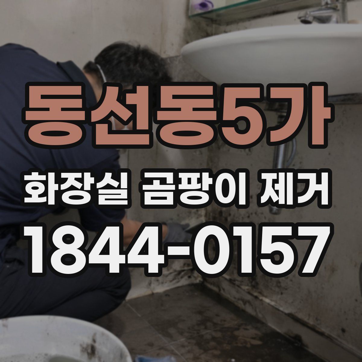 동선동5가 화장실 곰팡이 제거