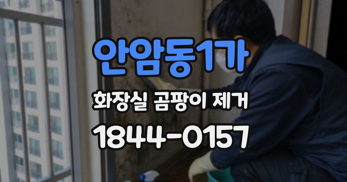 안암동1가 화장실 곰팡이 제거
