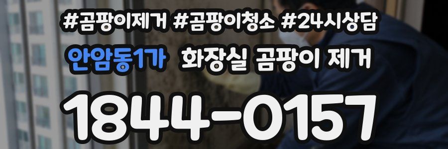 안암동1가 화장실 곰팡이 제거