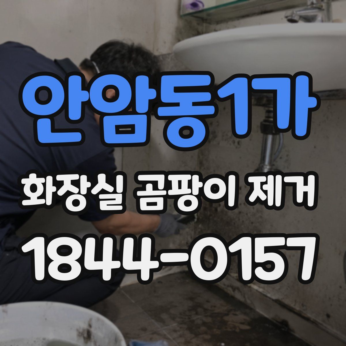 안암동1가 화장실 곰팡이 제거