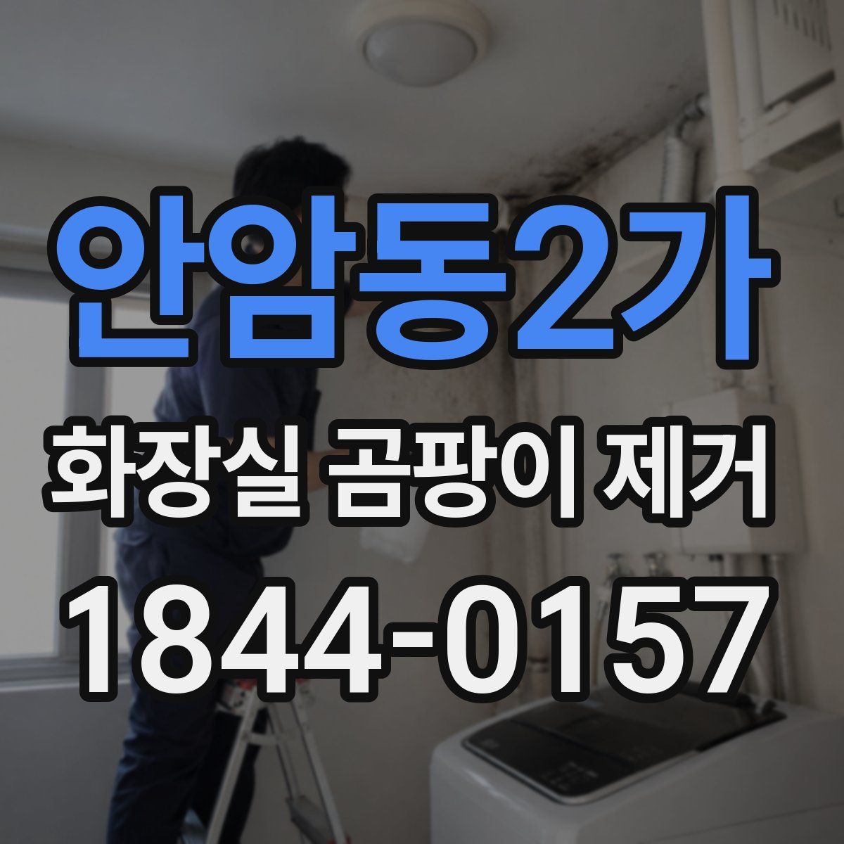 안암동2가 화장실 곰팡이 제거
