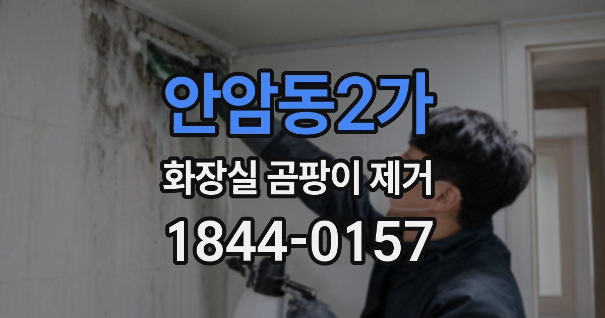 안암동2가 화장실 곰팡이 제거