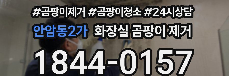 안암동2가 화장실 곰팡이 제거