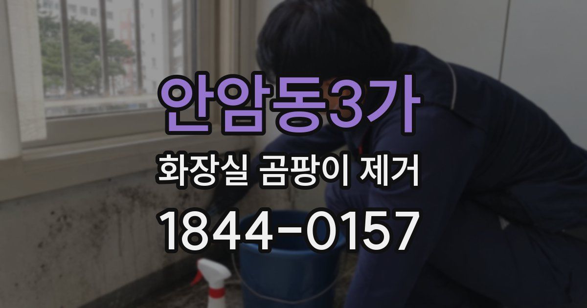 안암동3가 화장실 곰팡이 제거