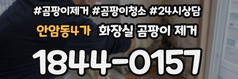 안암동4가 화장실 곰팡이 제거