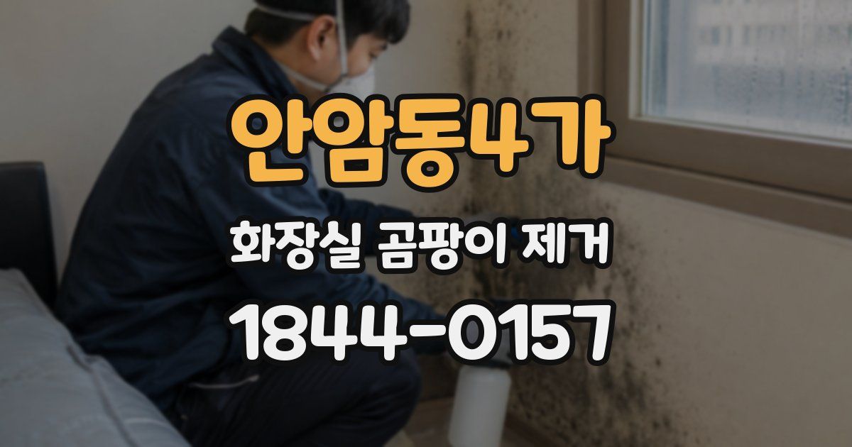안암동4가 화장실 곰팡이 제거