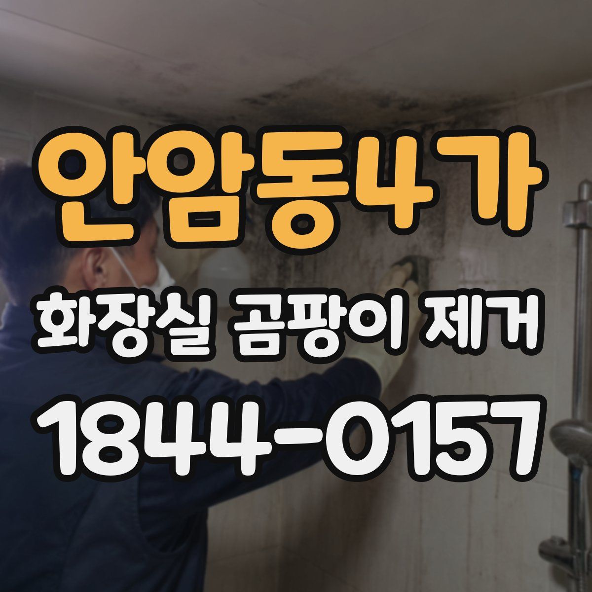 안암동4가 화장실 곰팡이 제거