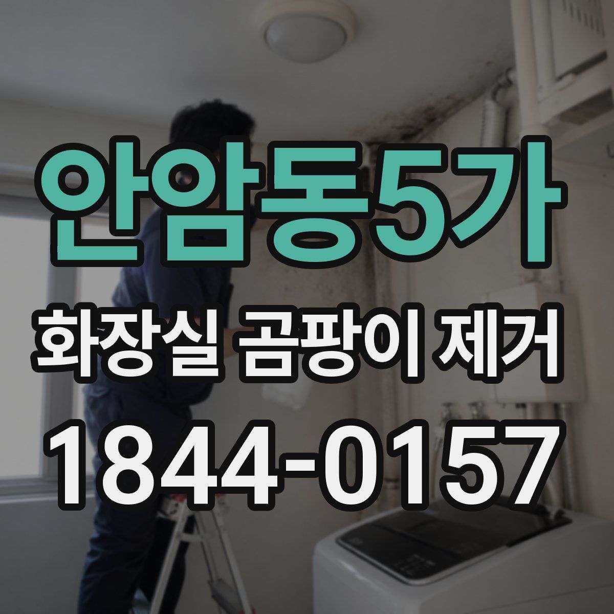 안암동5가 화장실 곰팡이 제거