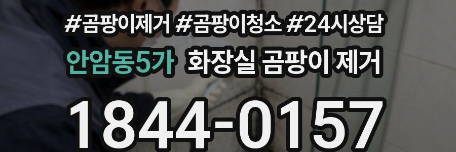 안암동5가 화장실 곰팡이 제거