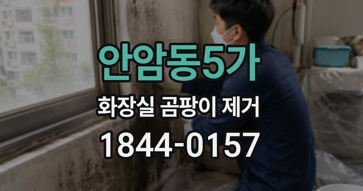 안암동5가 화장실 곰팡이 제거