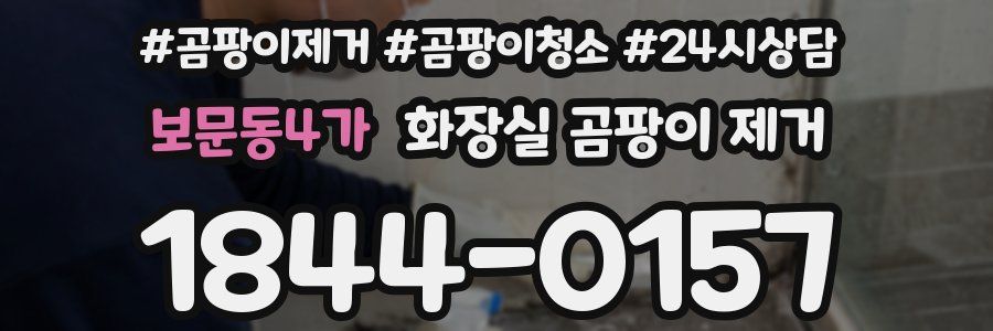 보문동4가 화장실 곰팡이 제거