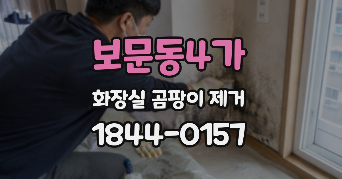 보문동4가 화장실 곰팡이 제거