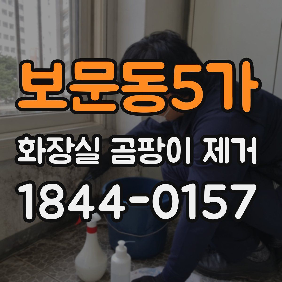 보문동5가 화장실 곰팡이 제거