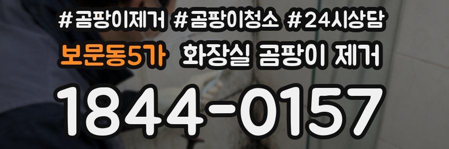 보문동5가 화장실 곰팡이 제거