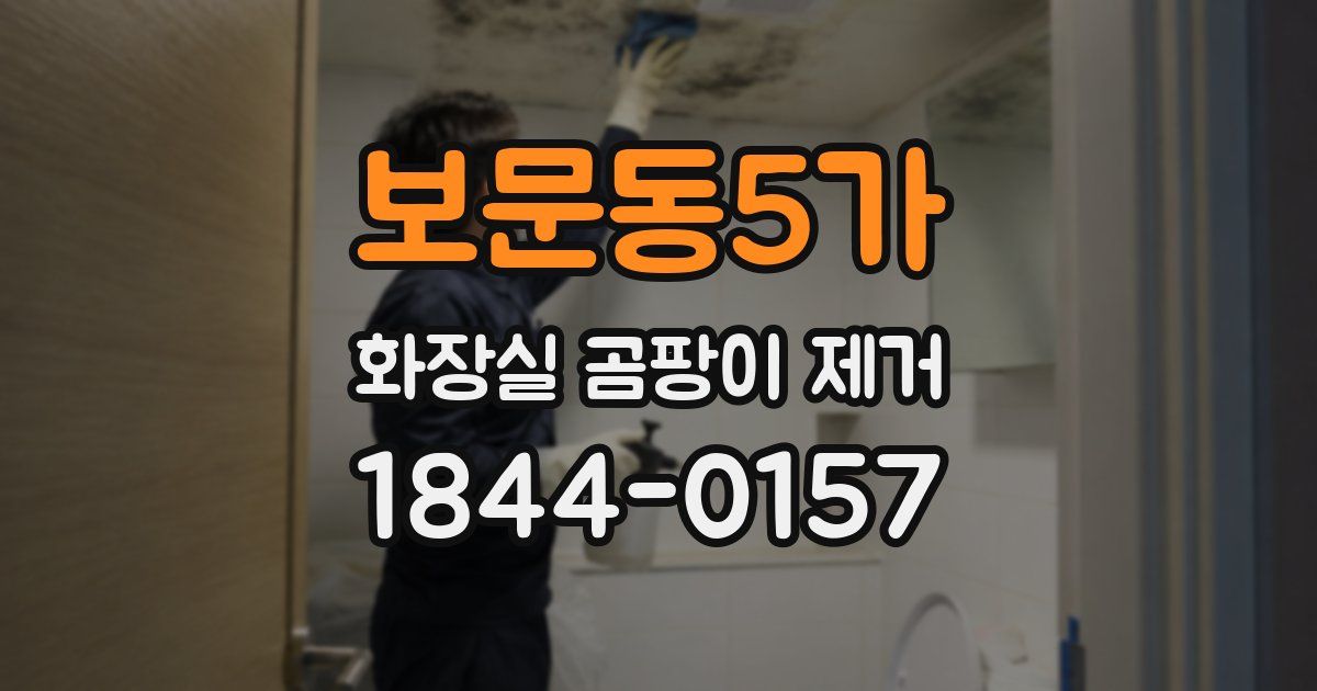 보문동5가 화장실 곰팡이 제거