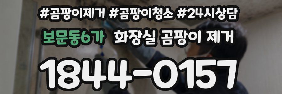보문동6가 화장실 곰팡이 제거