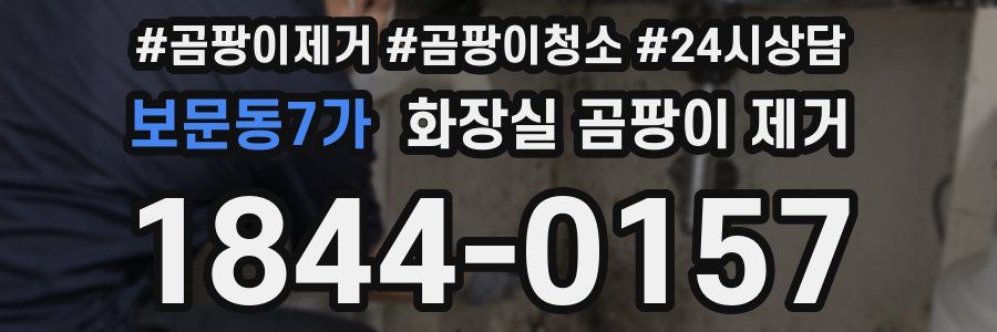 보문동7가 화장실 곰팡이 제거