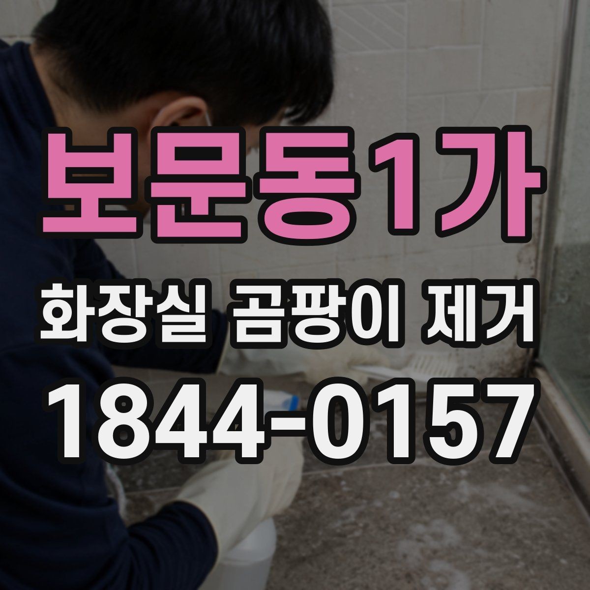 보문동1가 화장실 곰팡이 제거 배수구 주변 환경 냄새까지 함께 살펴보는 법