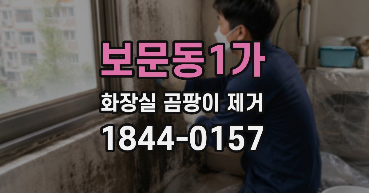 보문동1가 화장실 곰팡이 제거