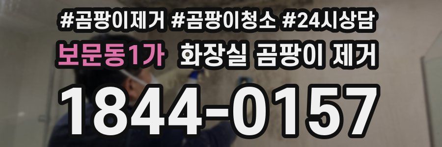보문동1가 화장실 곰팡이 제거