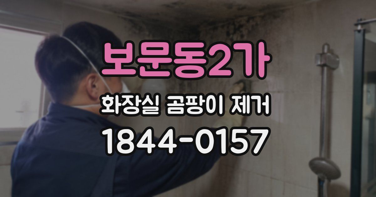 보문동2가 화장실 곰팡이 제거