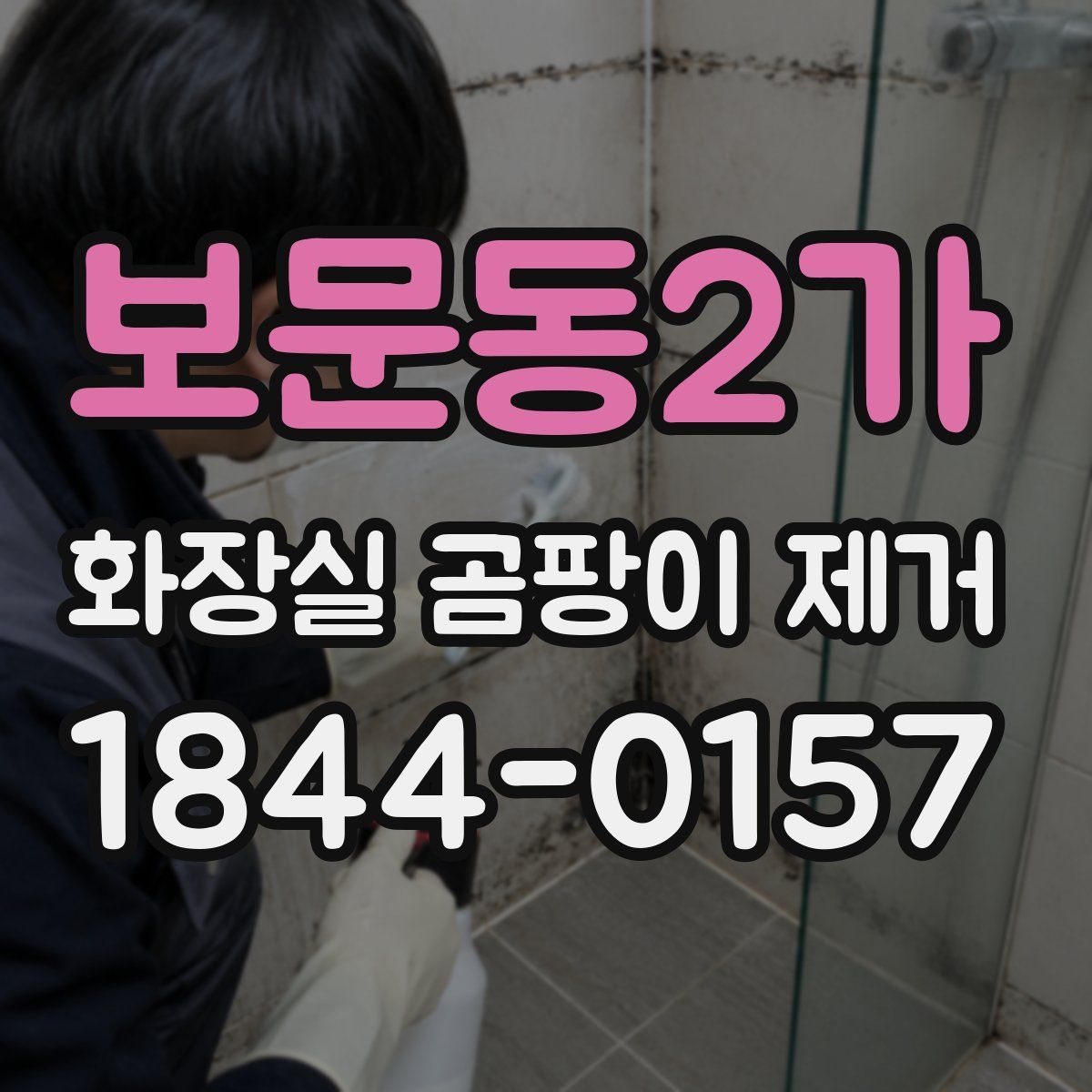 보문동2가 화장실 곰팡이 제거
