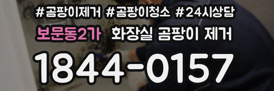 보문동2가 화장실 곰팡이 제거