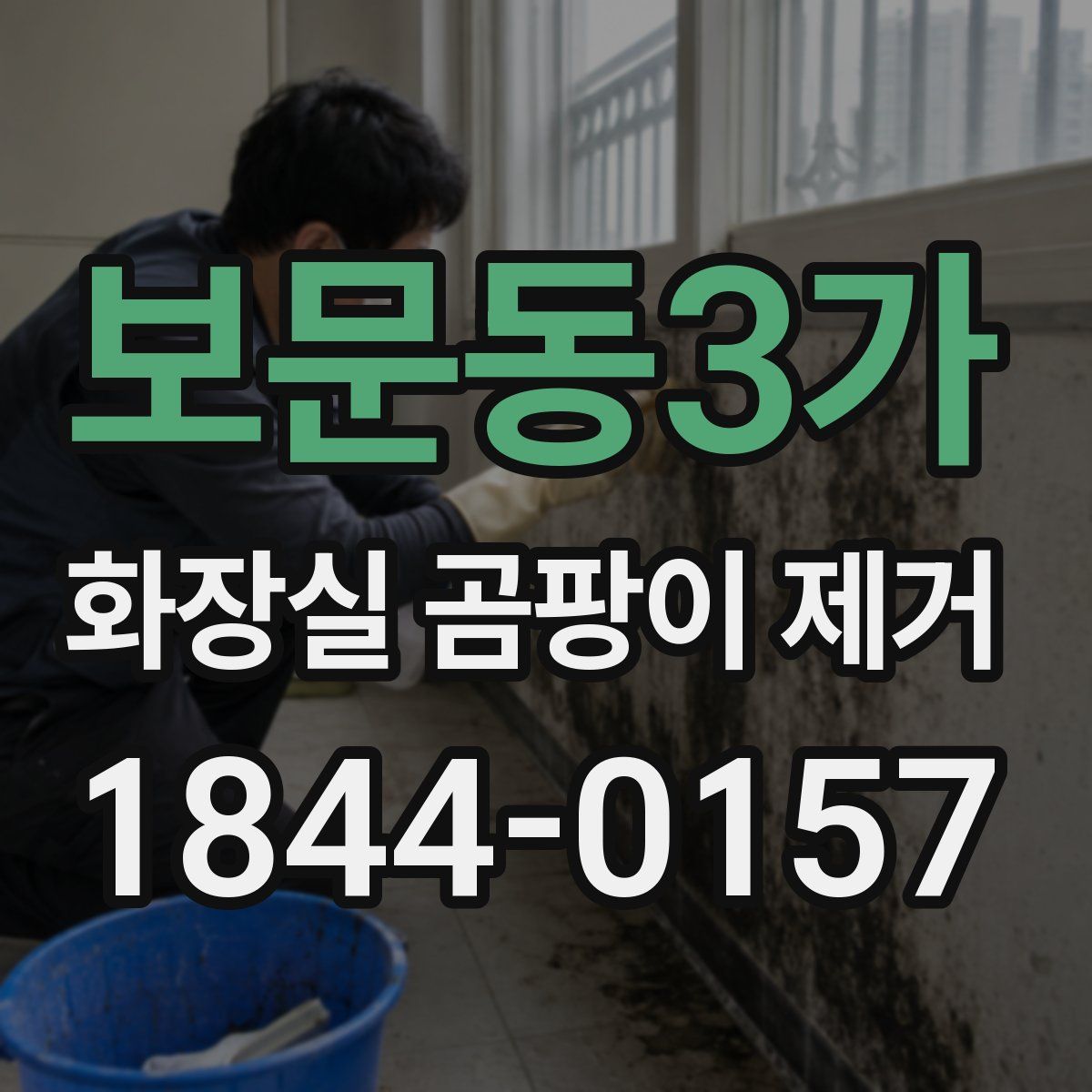 보문동3가 화장실 곰팡이 제거