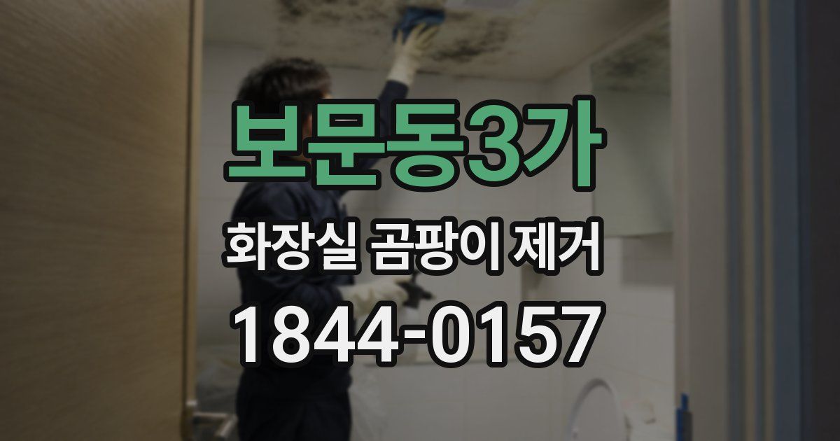 보문동3가 화장실 곰팡이 제거