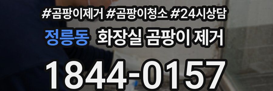 정릉동 화장실 곰팡이 제거