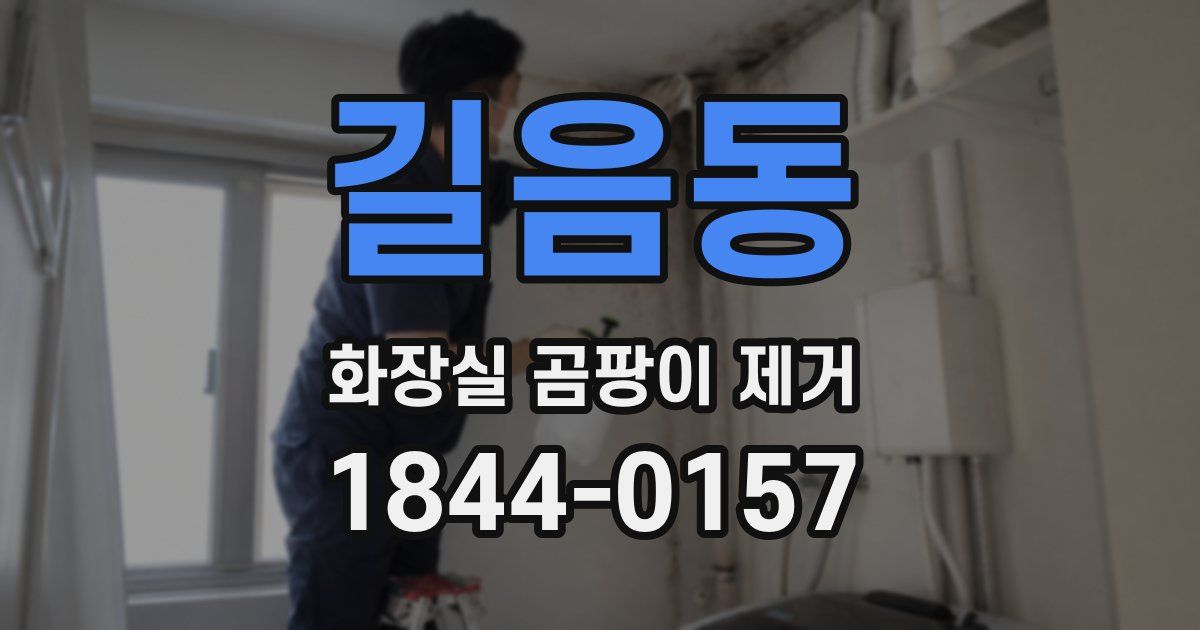 길음동 화장실 곰팡이 제거