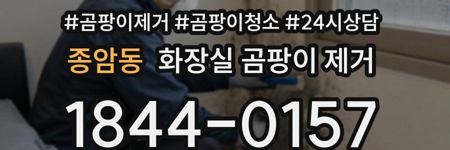 종암동 화장실 곰팡이 제거