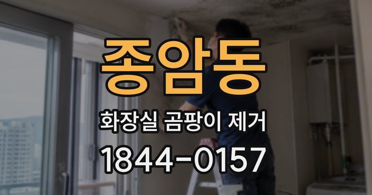 종암동 화장실 곰팡이 제거