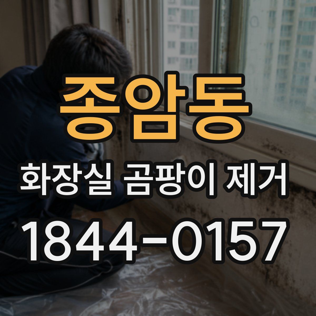 종암동 화장실 곰팡이 제거