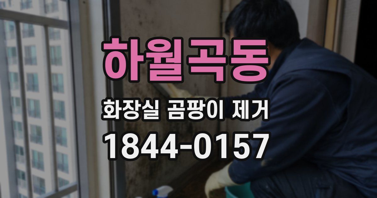 하월곡동 화장실 곰팡이 제거