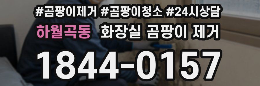 하월곡동 화장실 곰팡이 제거