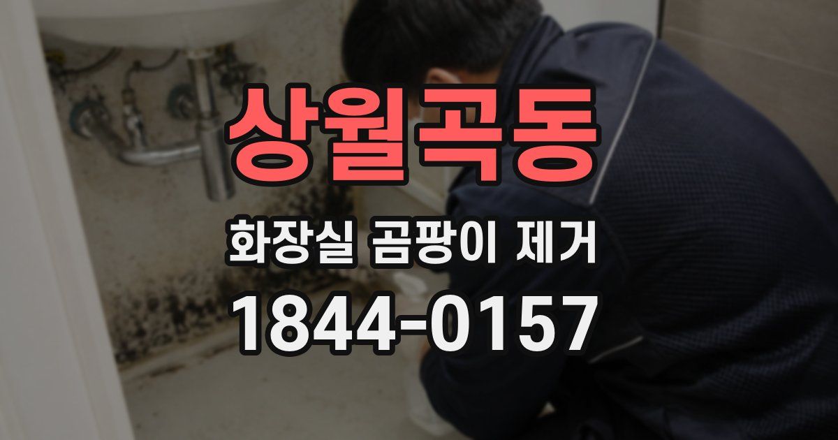 상월곡동 화장실 곰팡이 제거