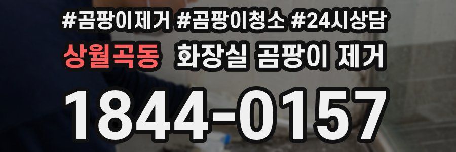 상월곡동 화장실 곰팡이 제거