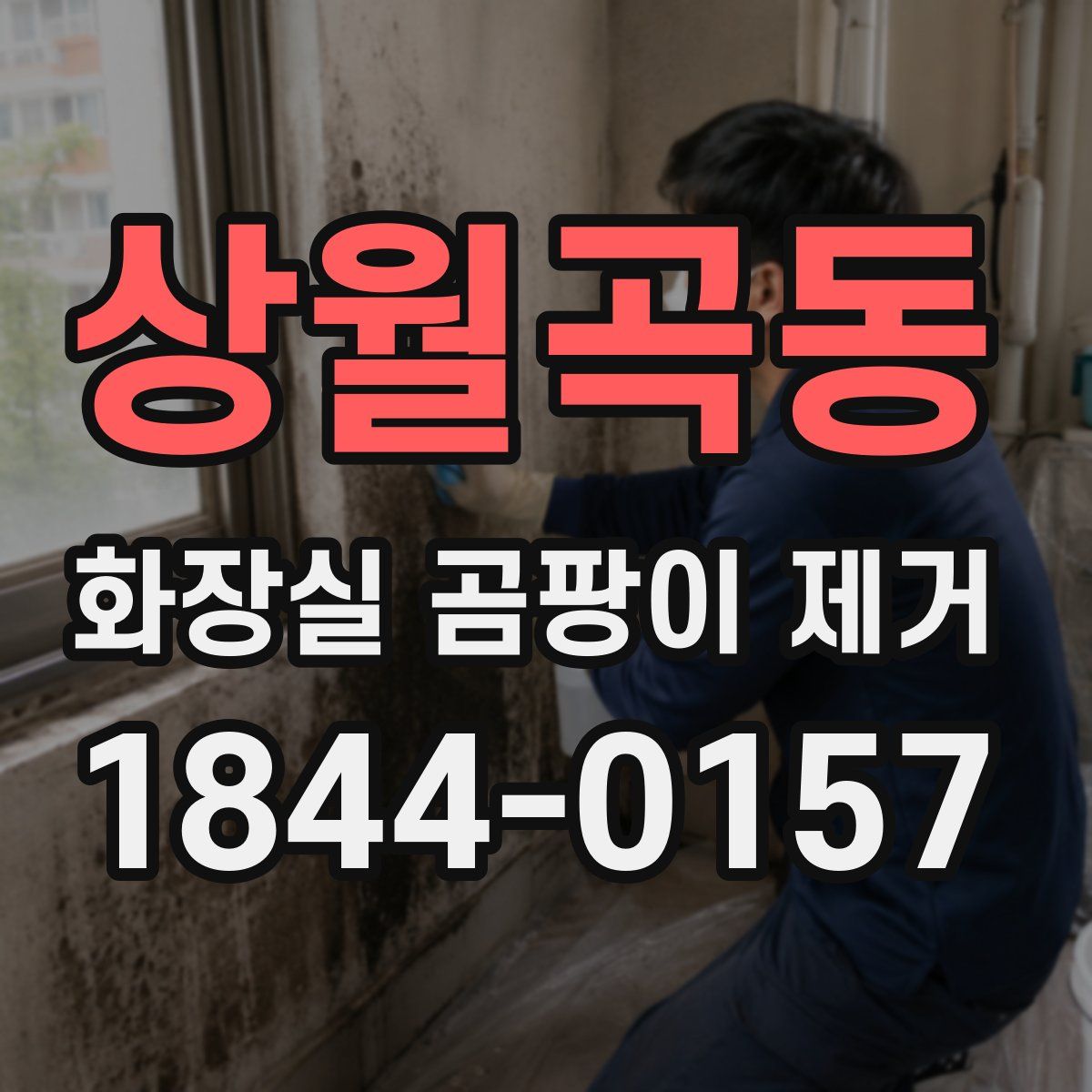 상월곡동 화장실 곰팡이 제거
