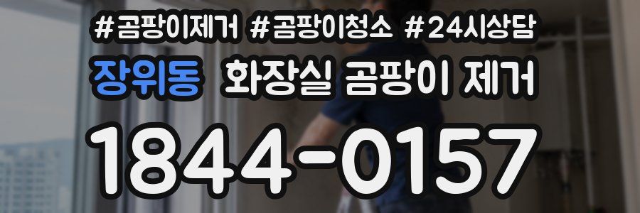 장위동 화장실 곰팡이 제거