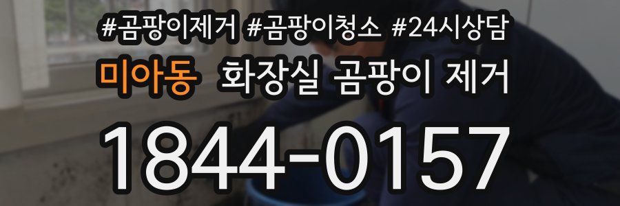 미아동 화장실 곰팡이 제거