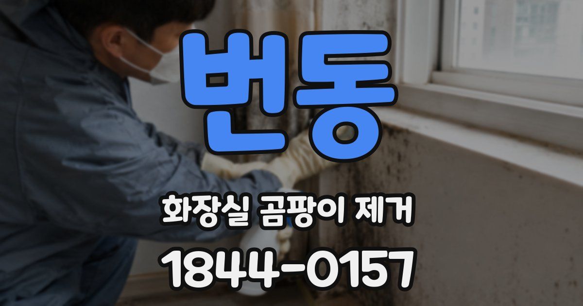 번동 화장실 곰팡이 제거