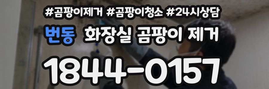 번동 화장실 곰팡이 제거