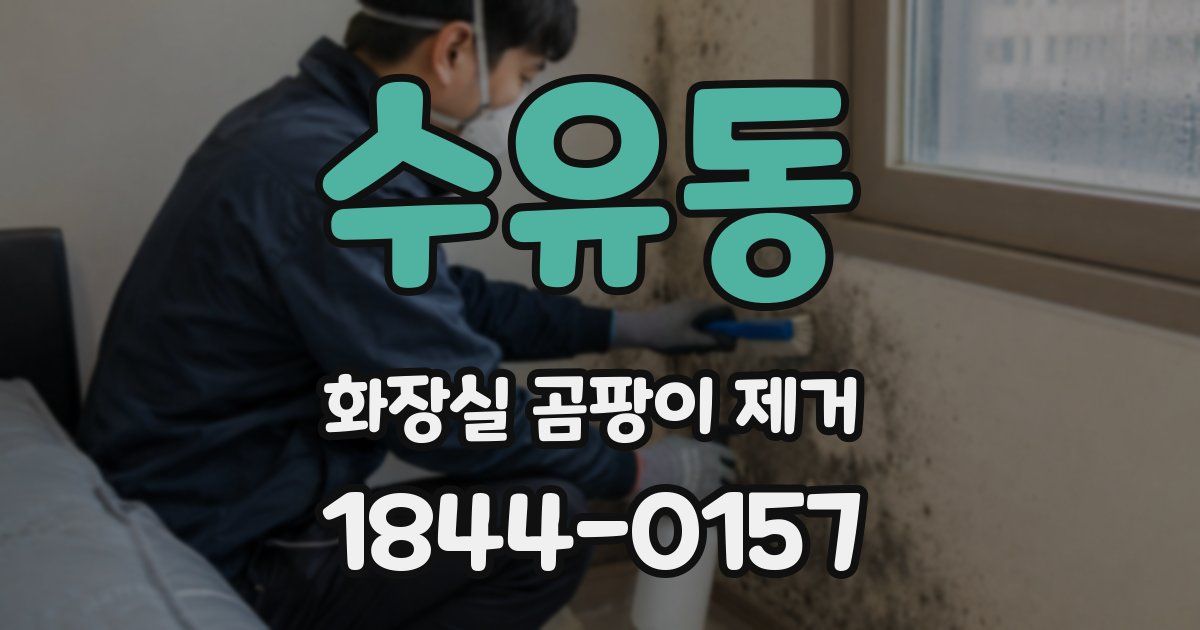 수유동 화장실 곰팡이 제거